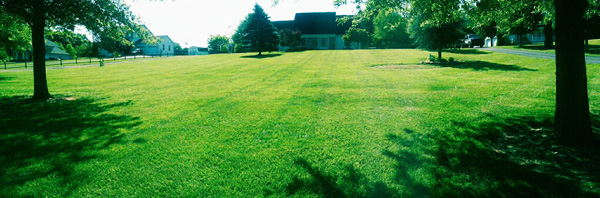 Lawn Care Project