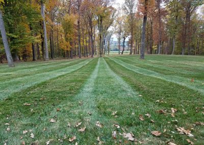 Residential and Commercial Lawn Care